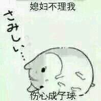 懵逼微信恶搞群聊杂图表情包