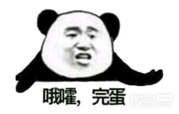 宠溺微信恶搞群聊杂图表情包