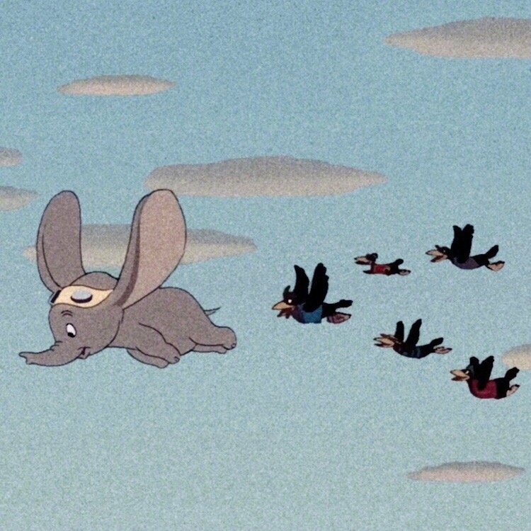 微信简约风景静物朋友圈配图