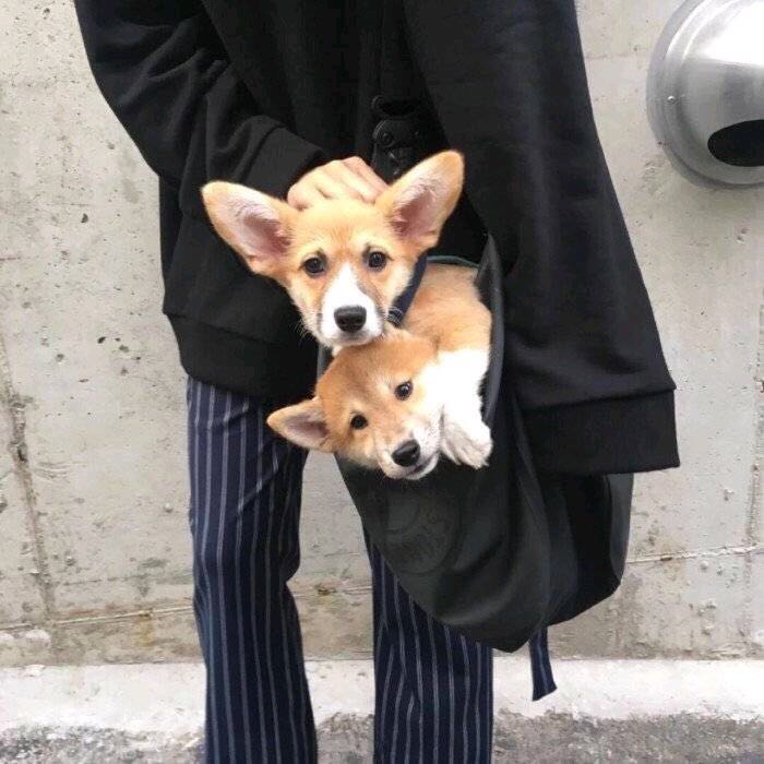 微信帅气性感酷酷的男头