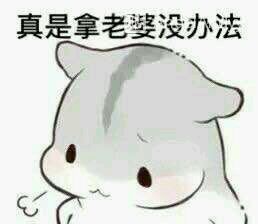 懵逼微信恶搞群聊杂图表情包