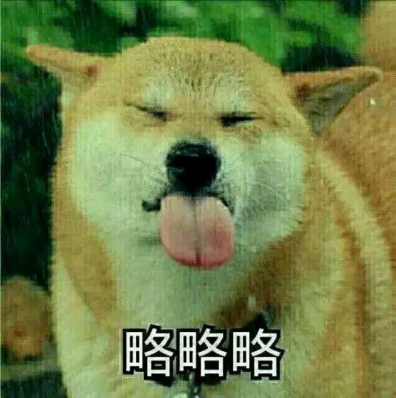 懵逼微信恶搞群聊杂图表情包