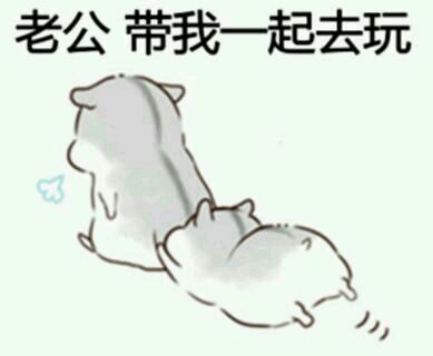 懵逼微信恶搞群聊杂图表情包