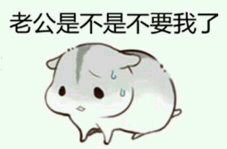 懵逼微信恶搞群聊杂图表情包