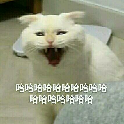 高冷微信恶搞表情包