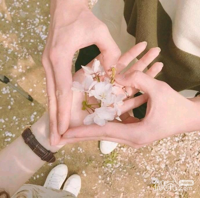 微信小清新少女心朋友圈配图