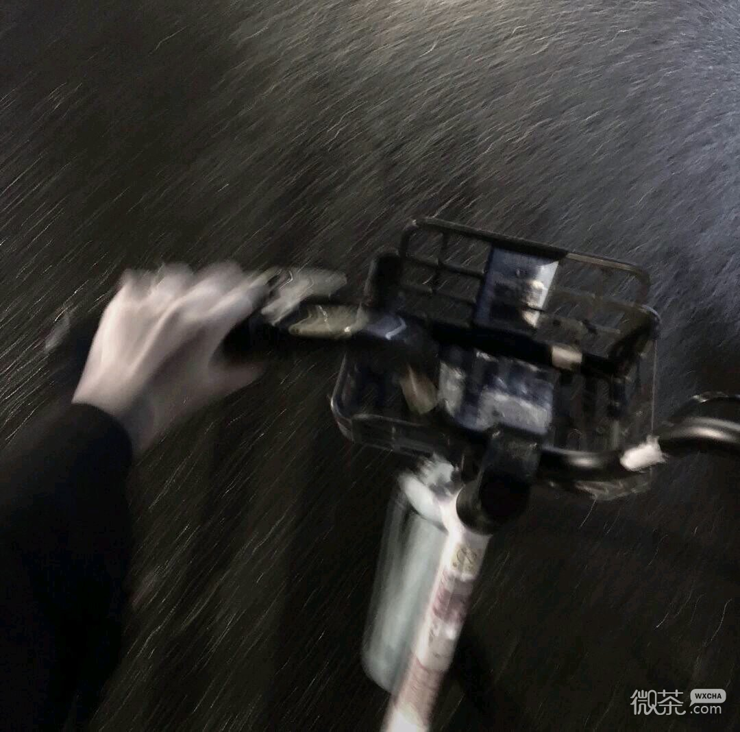 微信清新好看风景静物朋友圈配图