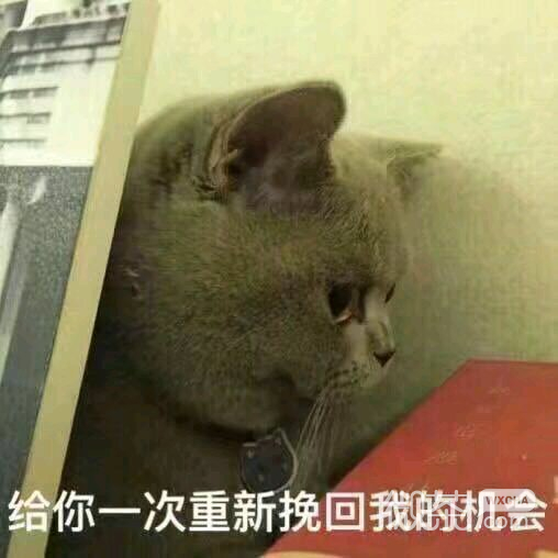 一级棒微信恶搞表情包