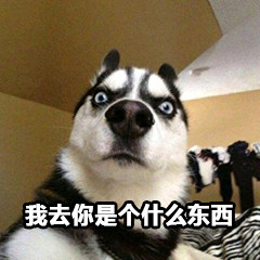 一级棒微信恶搞表情包