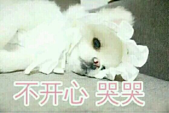 高冷微信恶搞表情包