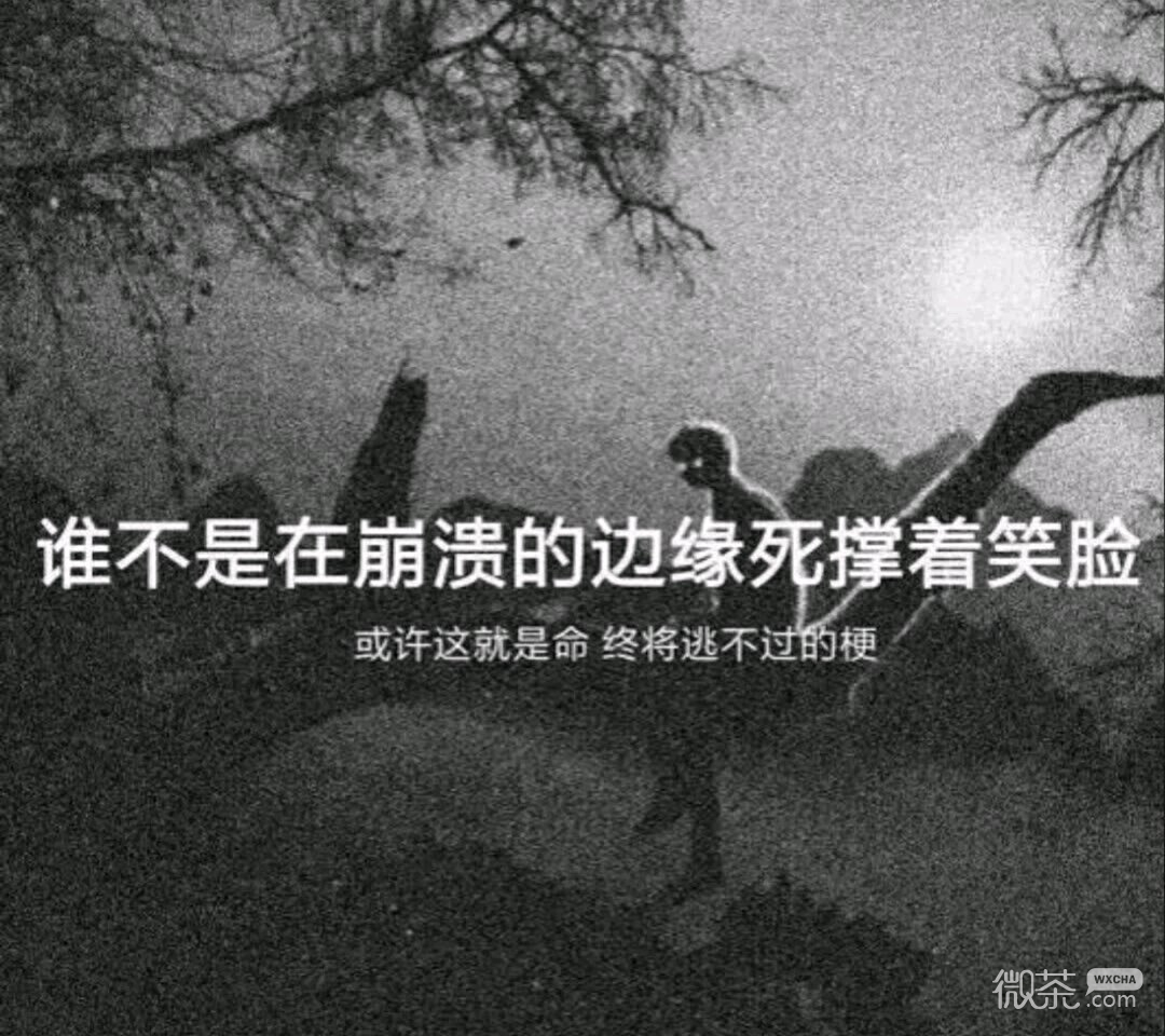 微信清新意境风景静物朋友圈配图