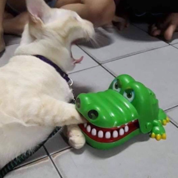 微信逗比沙雕头像