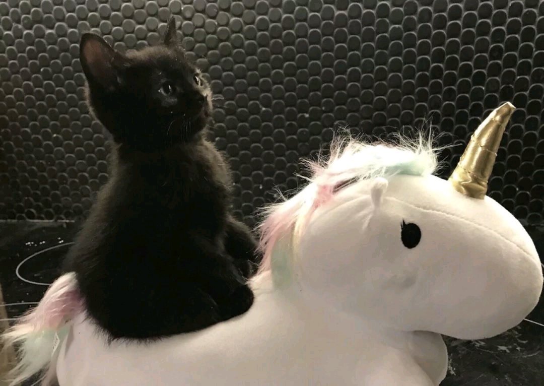 微信堕落伤感朋友圈配图