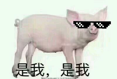 高冷微信恶搞表情包