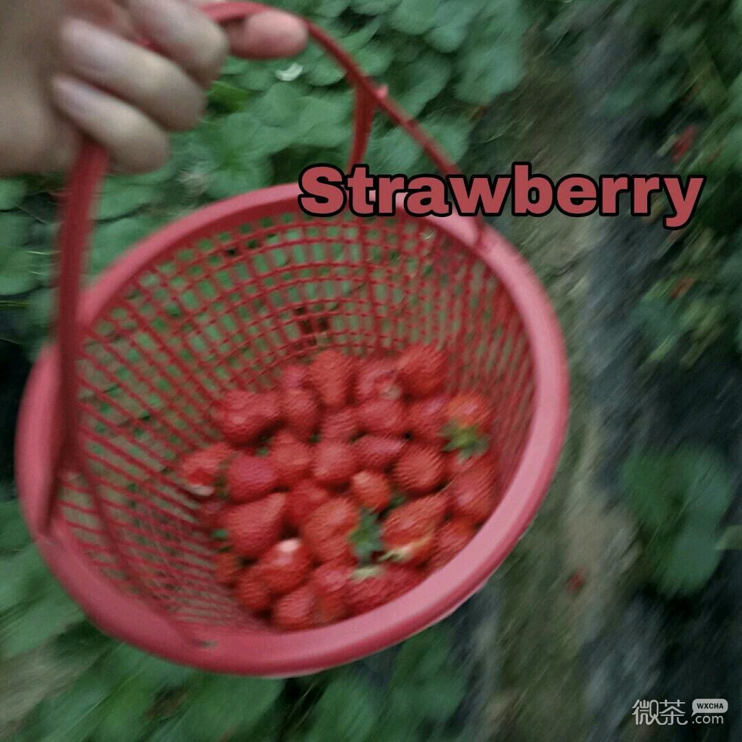 微信小清新少女心朋友圈配图