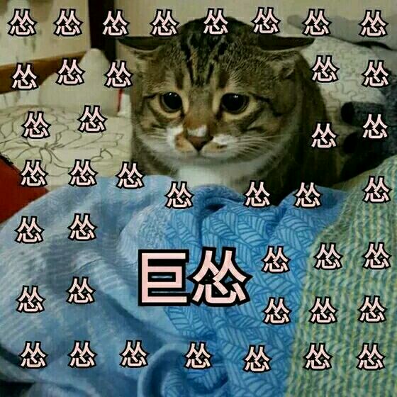 高冷微信恶搞表情包