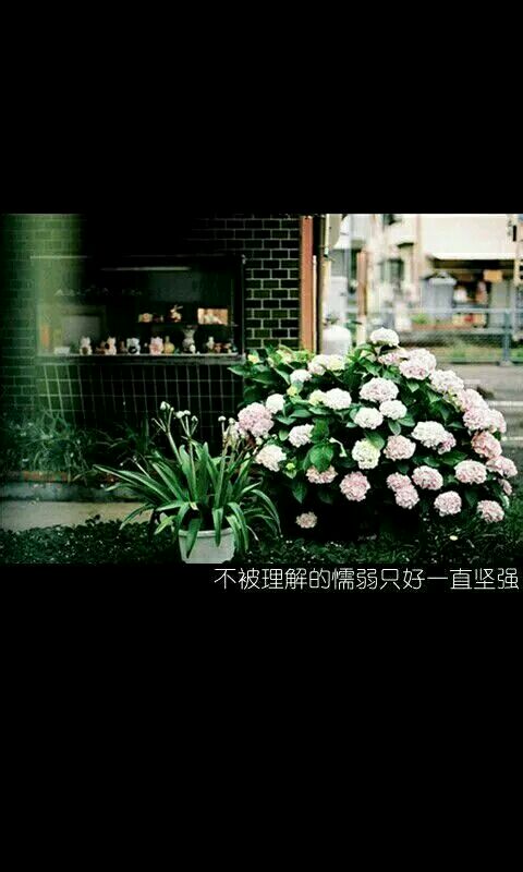 给自己加油用的微信励志文字图片下载