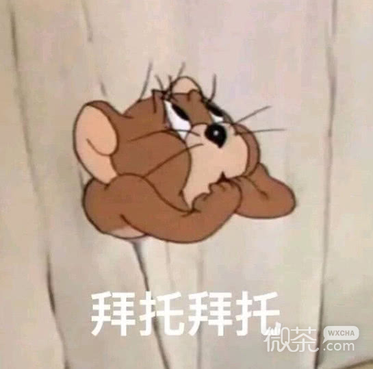 微信恶搞群聊杂图安详表情包