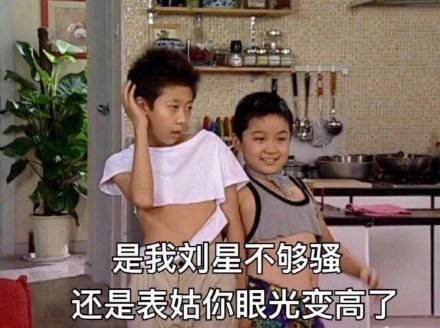 家有儿女刘星系列微信恶搞表情包下载