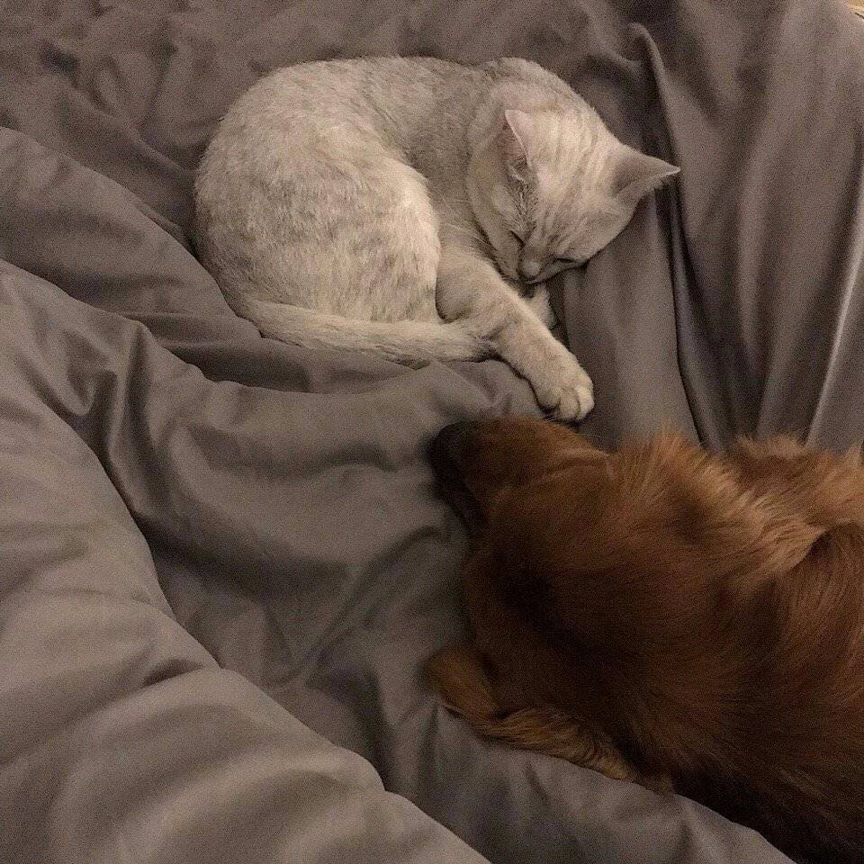 微信清新唯美好看风景静物朋友圈配图