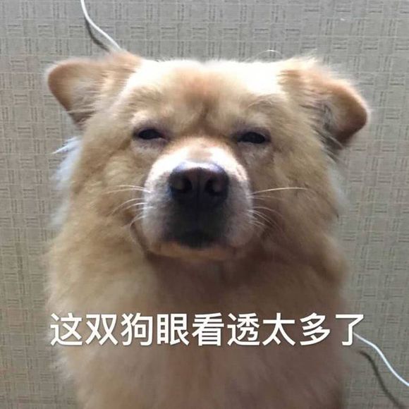 微信近期斗图恶搞表情包2019/8/2