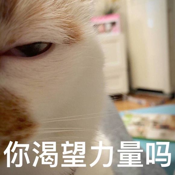 微信近期斗图恶搞表情包2019/8/2