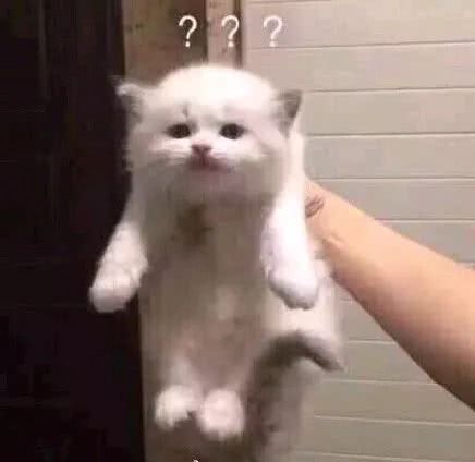 微信近期斗图恶搞表情包2019/8/2