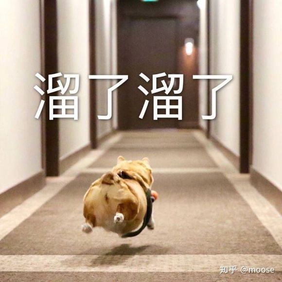 微信近期斗图恶搞表情包2019/8/2