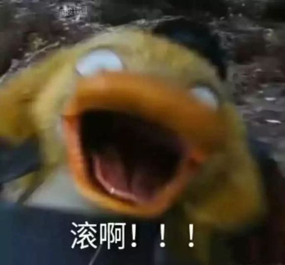 来了老弟微信恶搞表情包