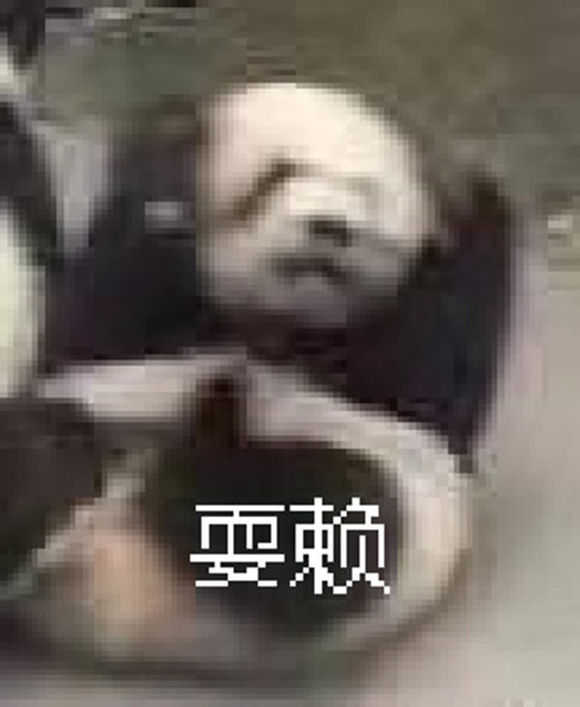 微信近期斗图恶搞表情包2019/8/2（二）