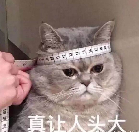 微信近期斗图恶搞表情包2019/8/2