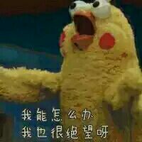 微信近期斗图恶搞表情包2019/8/3