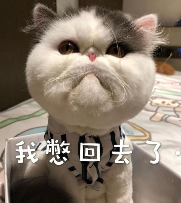 微信近期斗图恶搞表情包2019/8/2（二）