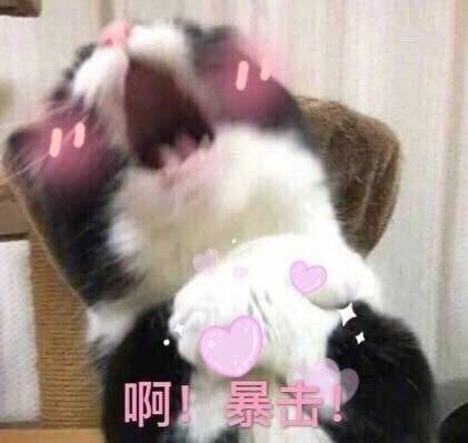 骚微信恶搞群聊杂图表情包