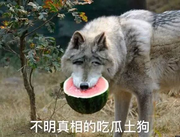 微信近期斗图恶搞表情包2019/8/2（二）