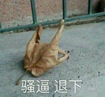 微信近期斗图恶搞表情包2019/8/2