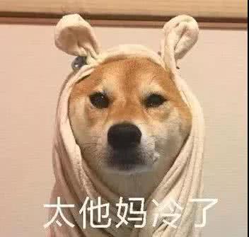 微信近期斗图恶搞表情包2019/8/2（二）