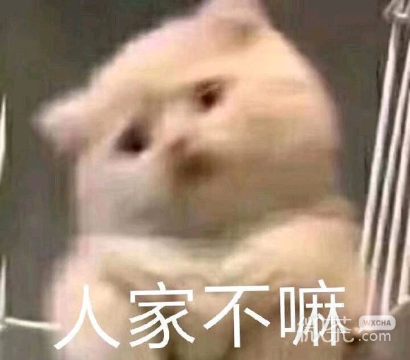 微信恶搞群聊杂图安详表情包