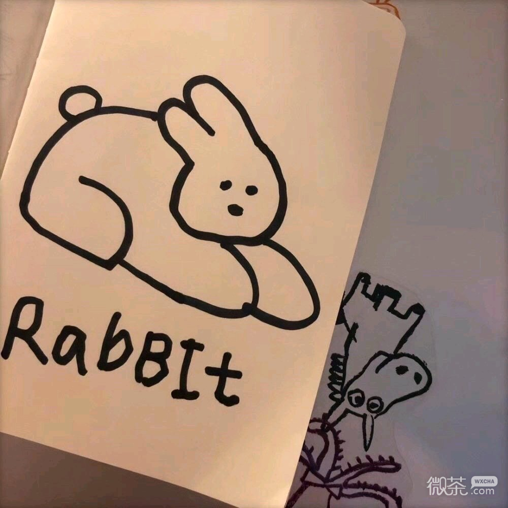 微信清新简约静物朋友圈配图