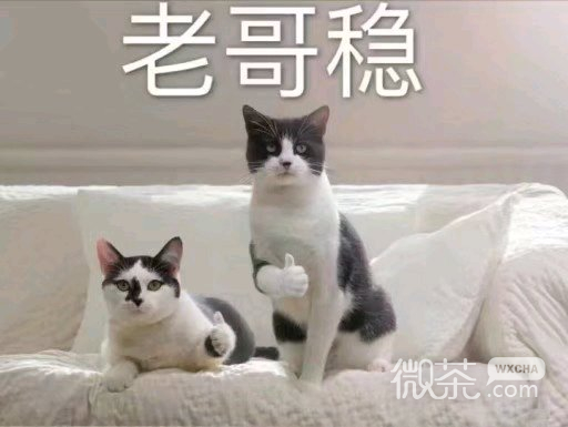假笑微信恶搞表情包