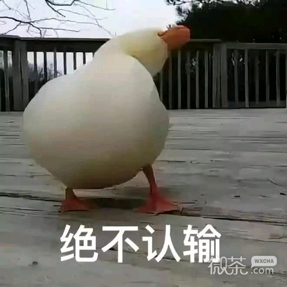 记仇微信搞怪表情包