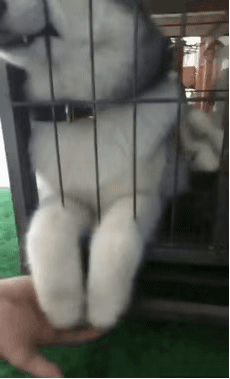 世界再见微信恶搞群聊杂图表情包