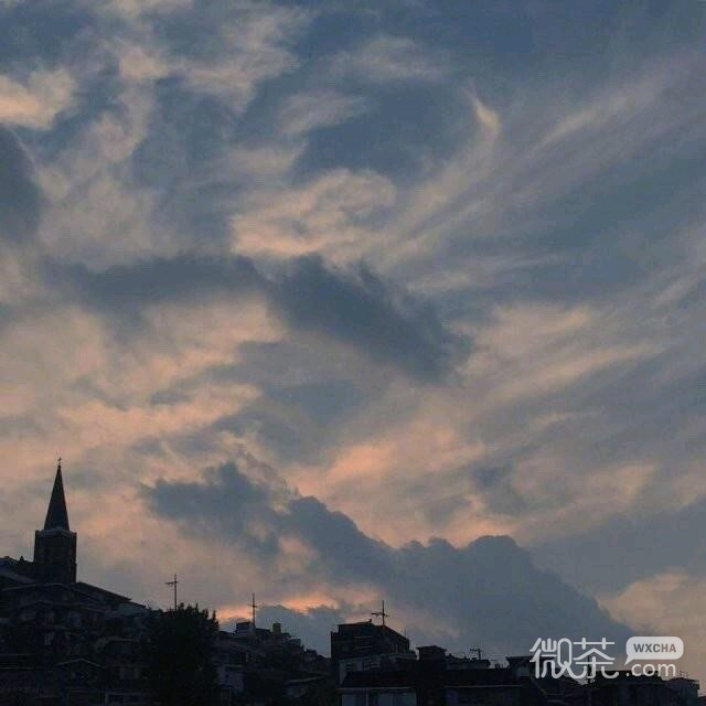 微信清新简约静物朋友圈配图