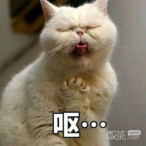 记仇微信搞怪表情包