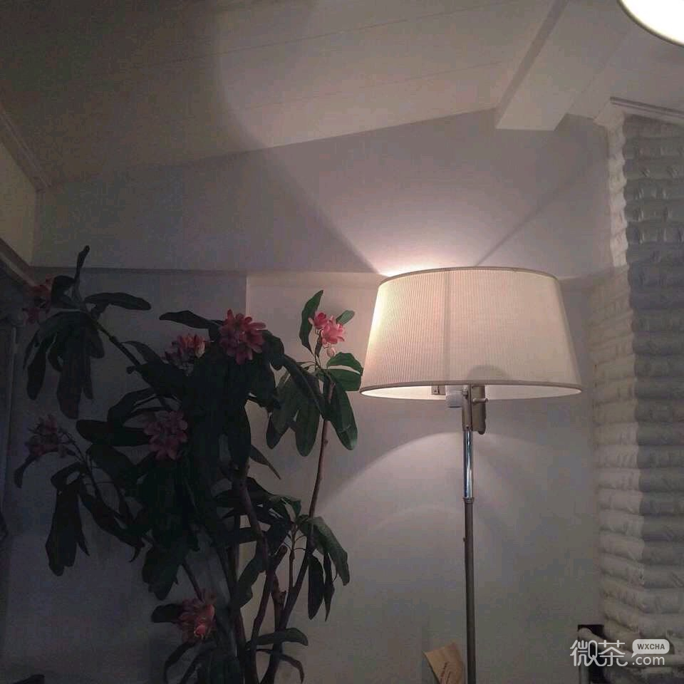 微信清新简约静物朋友圈配图