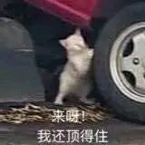 世界再见微信恶搞群聊杂图表情包