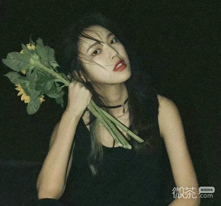 微信阳光文艺性感女头