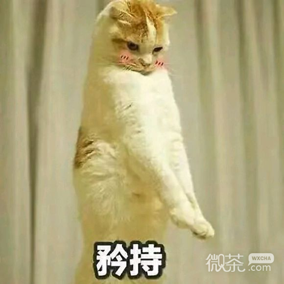 假笑微信恶搞表情包
