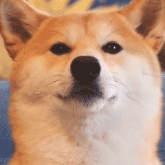 世界再见微信恶搞群聊杂图表情包