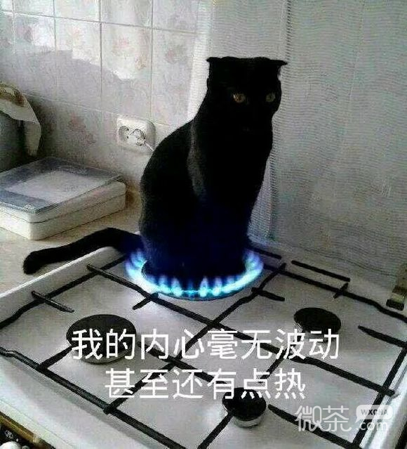 记仇微信搞怪表情包